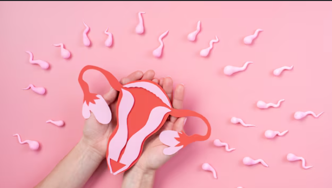 How Your Everyday Habits Impact Reproductive Health
